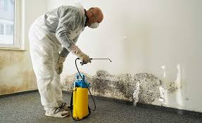 Best Mold Remediation for Healthcare Facilities  in Cashton, WI