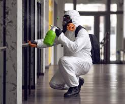 Mold Remediation for Vacation Homes in Cashton, WI